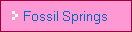 Fossil Springs